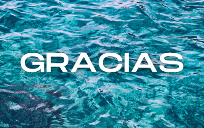 A todas las instituciones oficiales y empresas privadas GRACIAS por vuestro inestimable apoyo